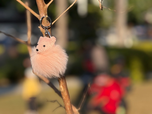Pink Bear