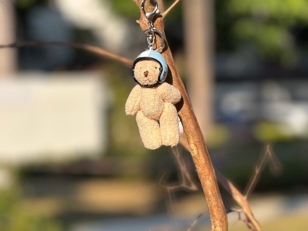 Teddy brother