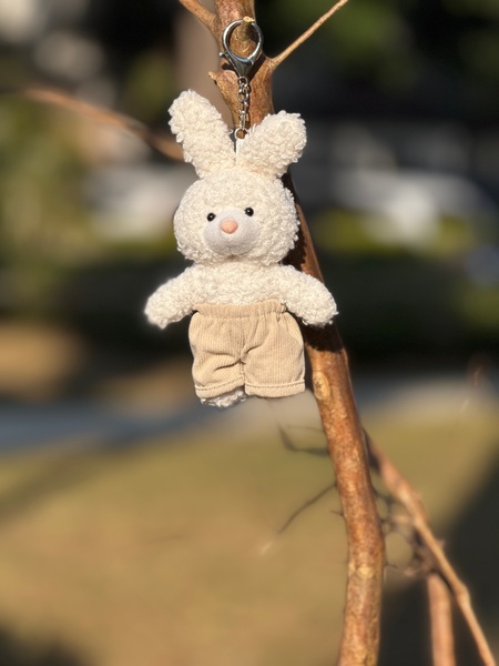 Kinder garden rabbit
