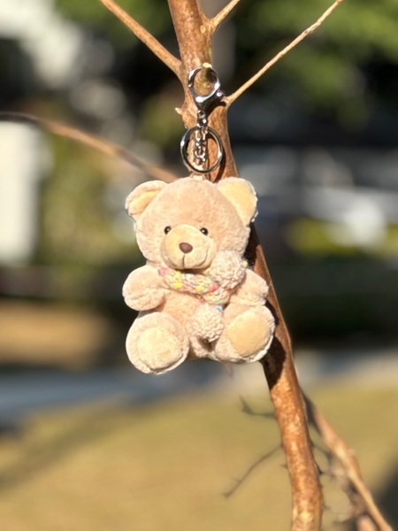 Sunny Bear